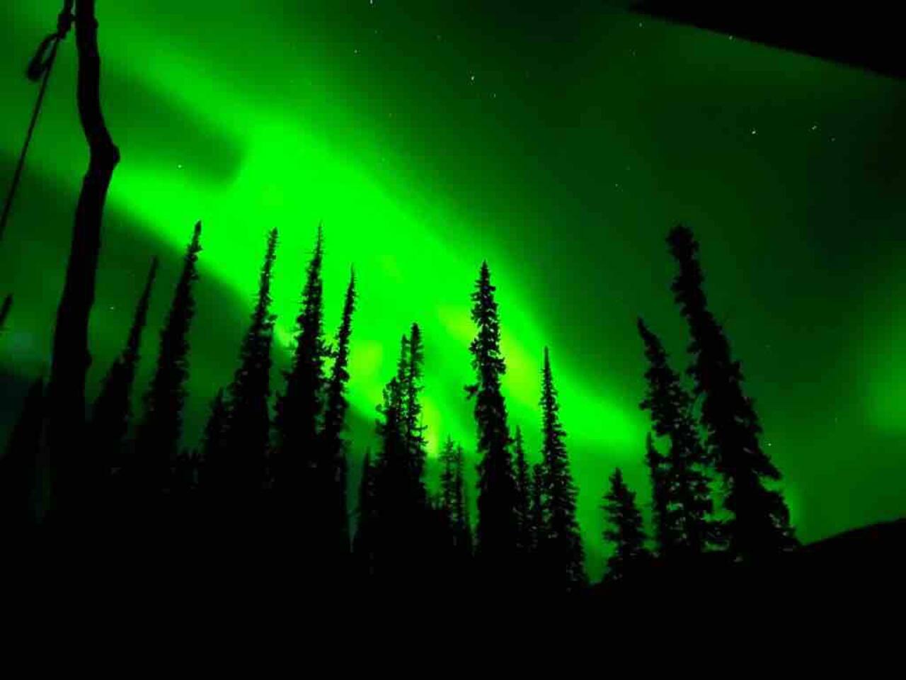 Aurora night near Yellowknife