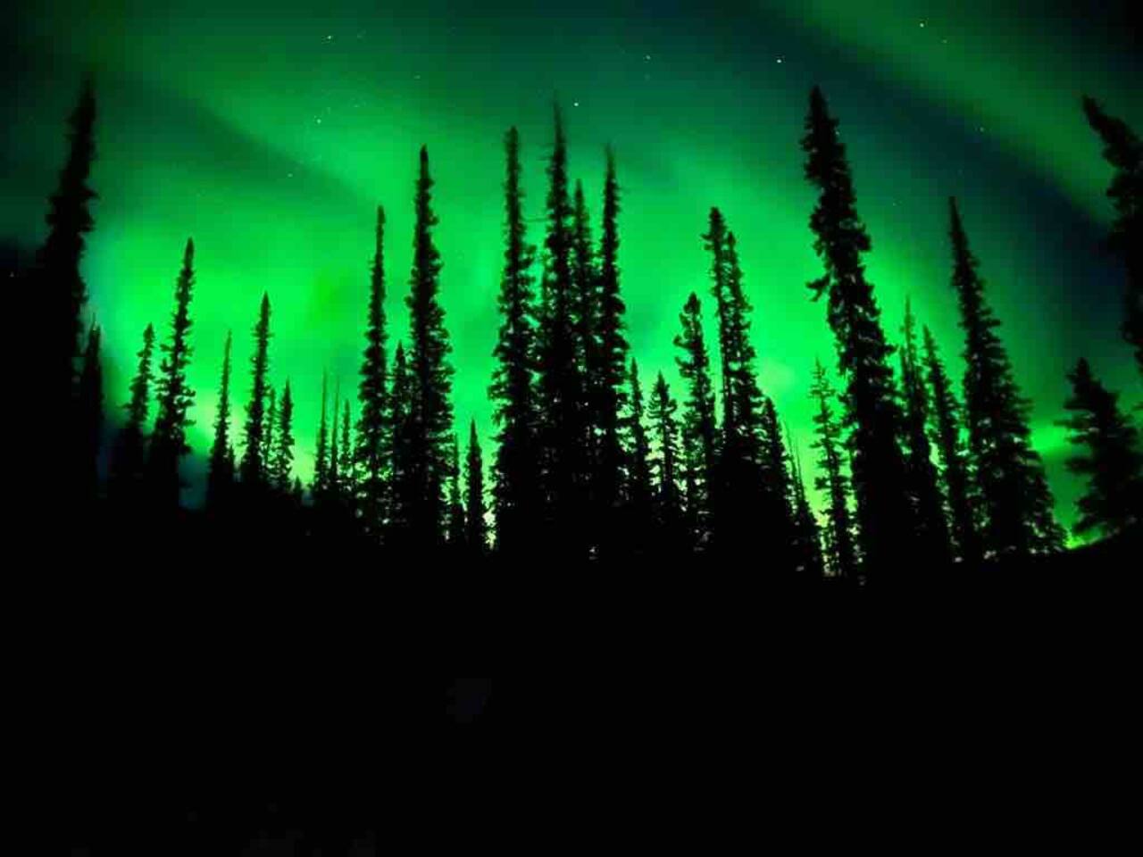 Northern Lights near Yellowknife